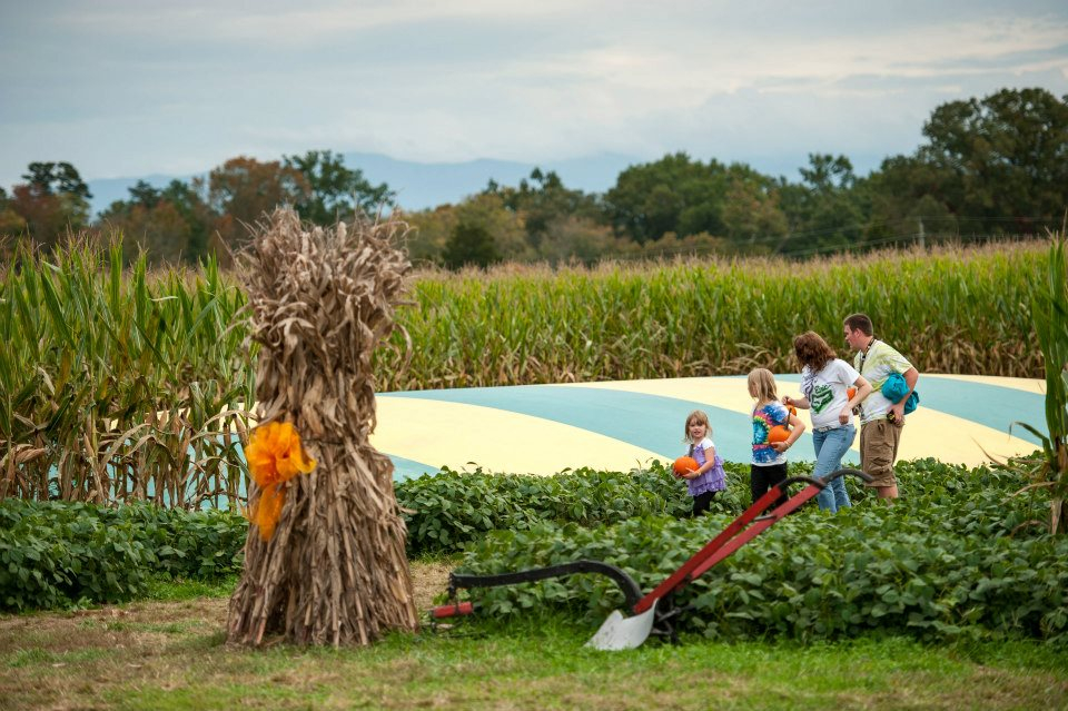 Kyker Farm Corn Maze in Sevierville, TN
