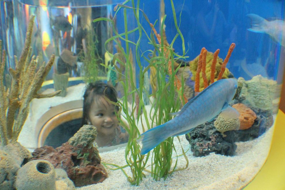 Ripley's Aquarium of the Smokies in Gatlinburg, TN